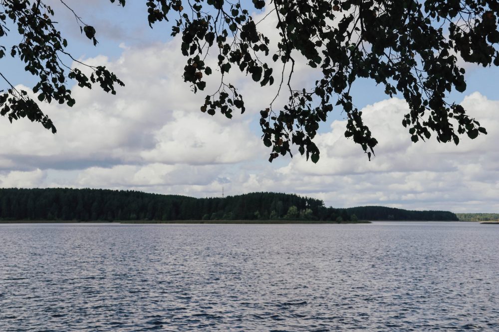 Фото: Кристина Белякова/РИА Верхневолжье