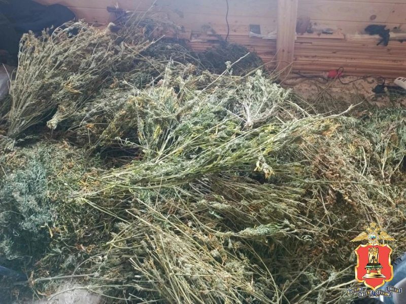 наркоферма в доме, калининский округ