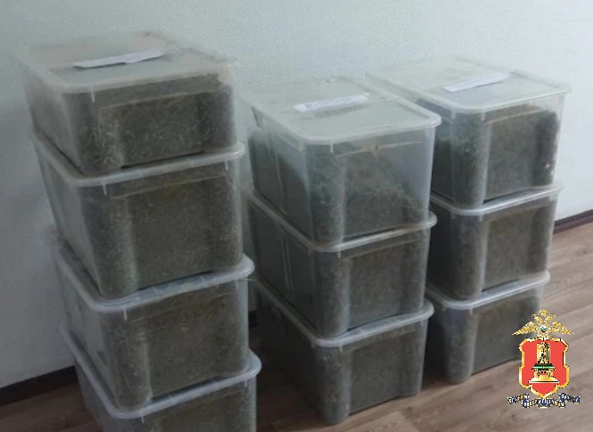 наркоферма в доме, калининский округ