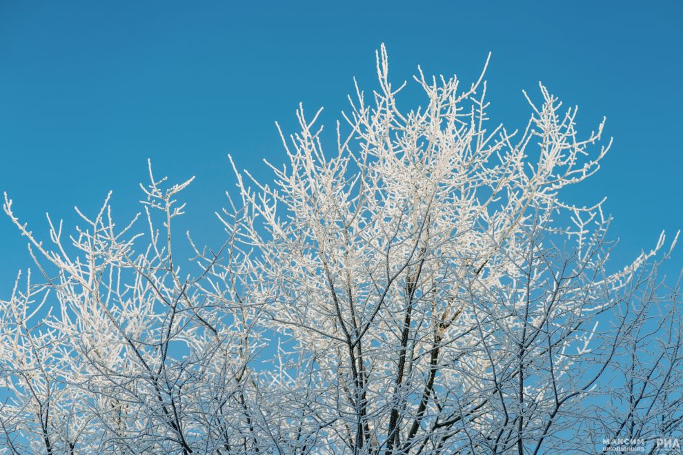 Зима, мороз