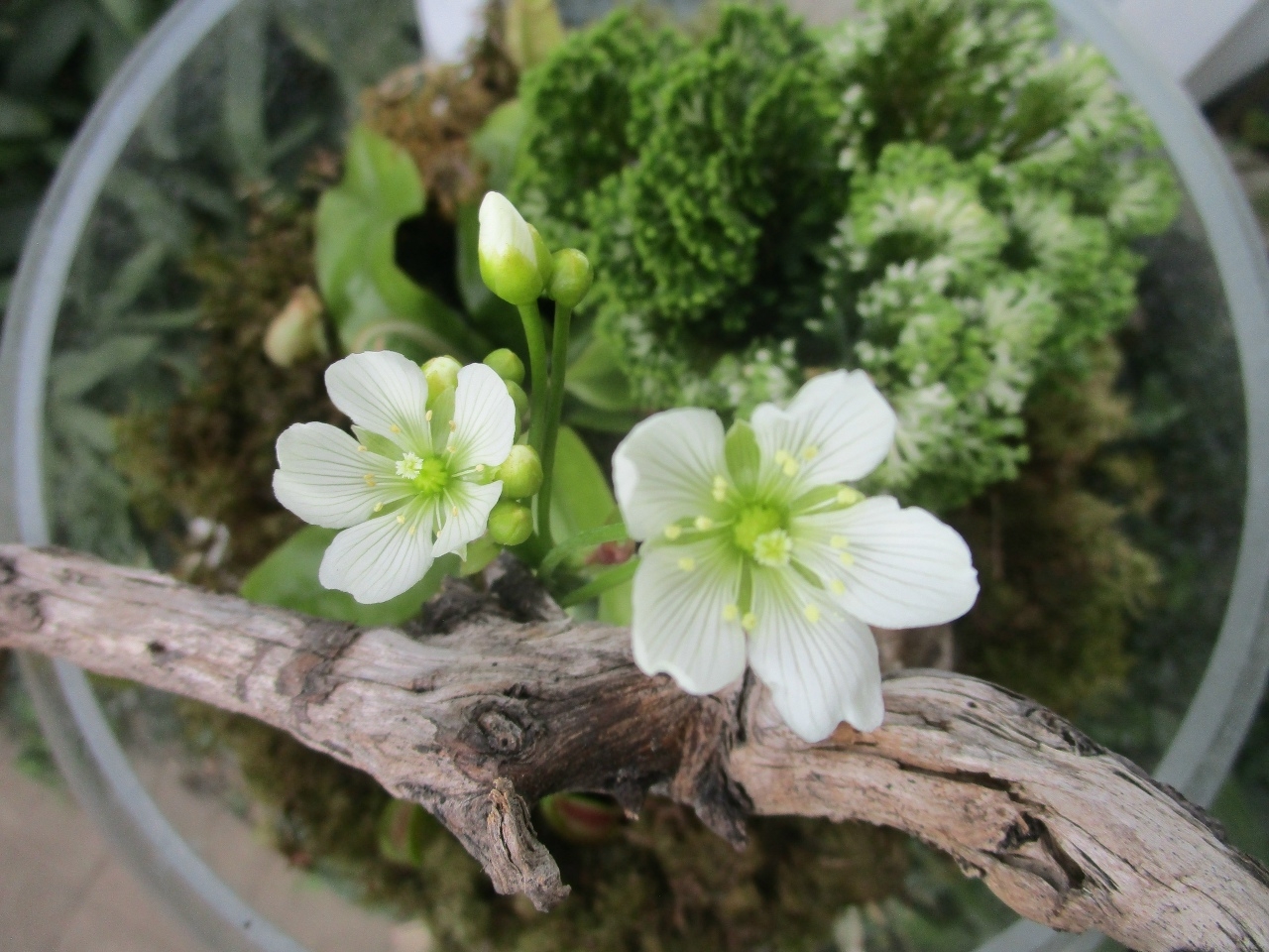 Wp0Re 8j GWqgdW5V lwW1OXUqw5lcFI7XYHJsajuhPJAqj skRv gW6kDBhSIt2OWxIDljAFdm9sblvpFr5Gmhq