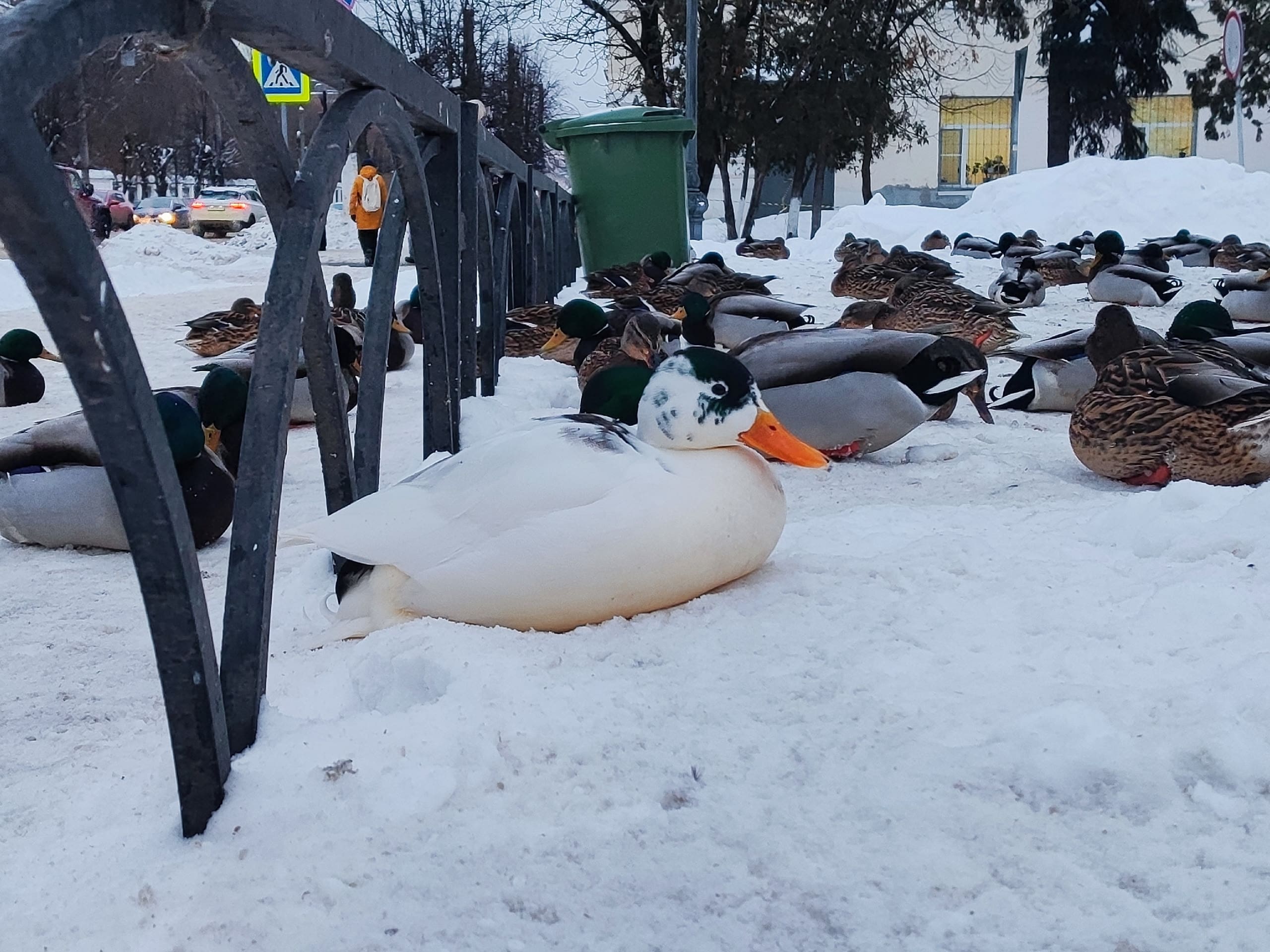 eZ1wBHq4YcDyw0TCGMfPRgVEM8gFaHTThsWggPwhPbgZhuMPC2PrAFP44yGFkl6whX175 Aex2iDDWWmY78AbOLf