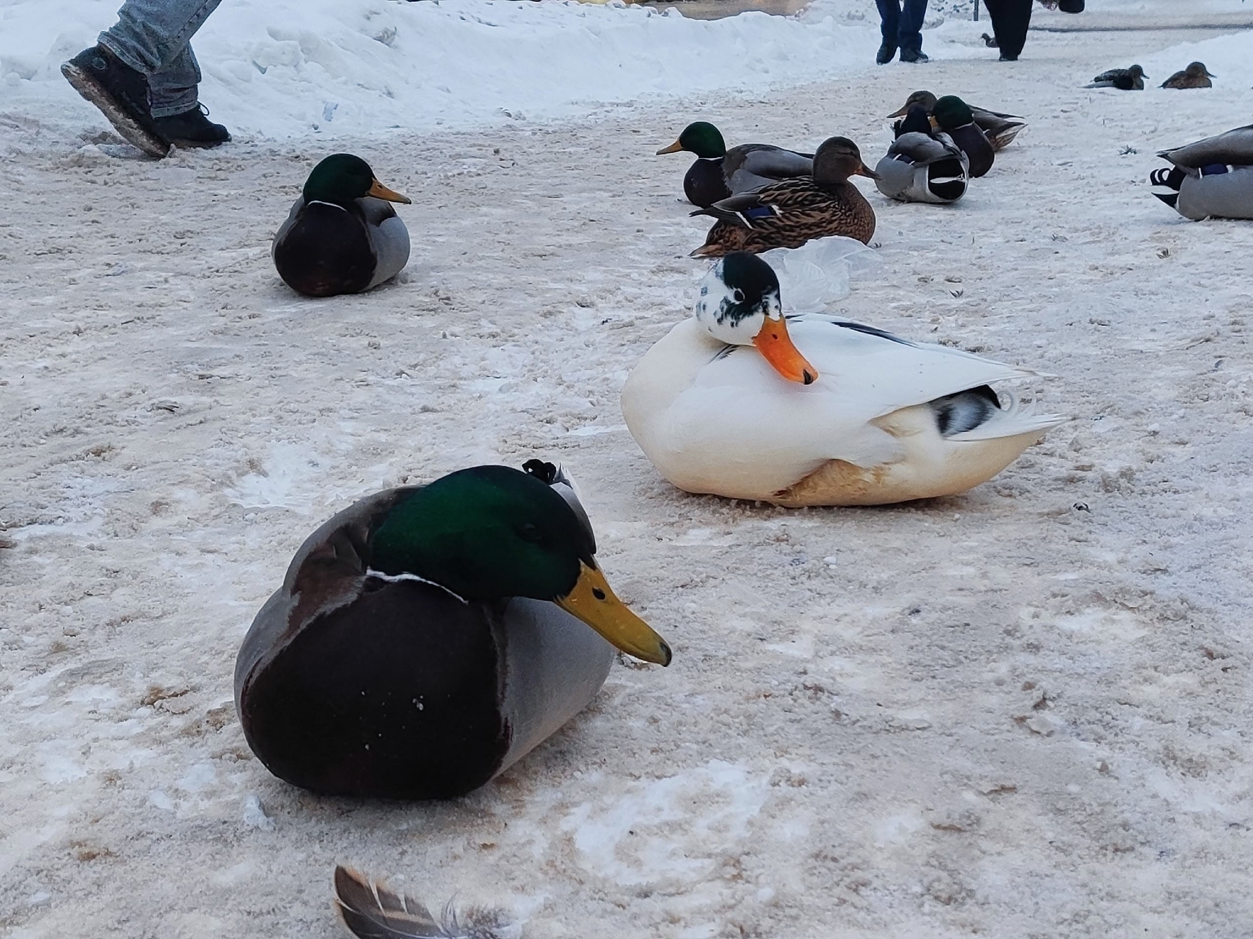 gV4 7eT10JhDza7XkzW5YXzd8v5 IgBYEMiMa3q3i5Y4zC6mVTaVVuu92xtx22YbJWBla7PSSHaPt3S3sf8Ssjs 