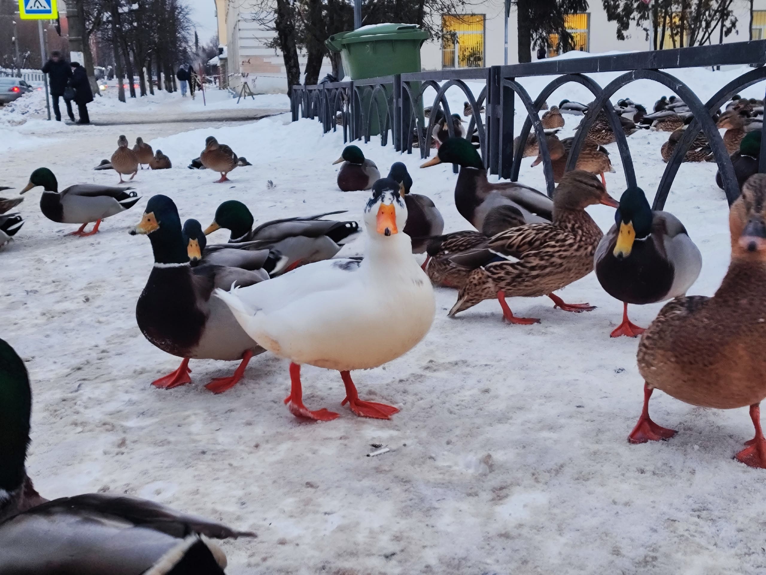 yjSYjhshbuxMp5hMECfrf Mwlyuw8swRw8m4oOVoRNYgeyHv1CmNslNvsOru0UFAmcRayQA7cU6m8jb01x2gFWad