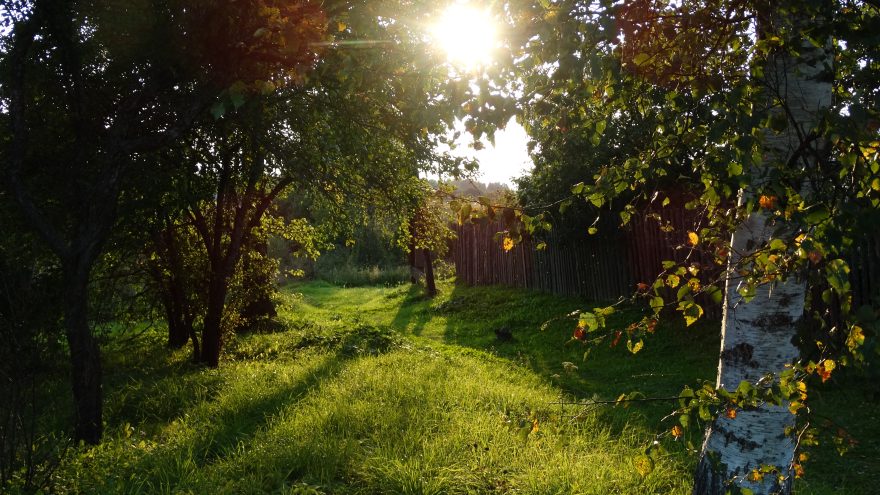 земля, участок