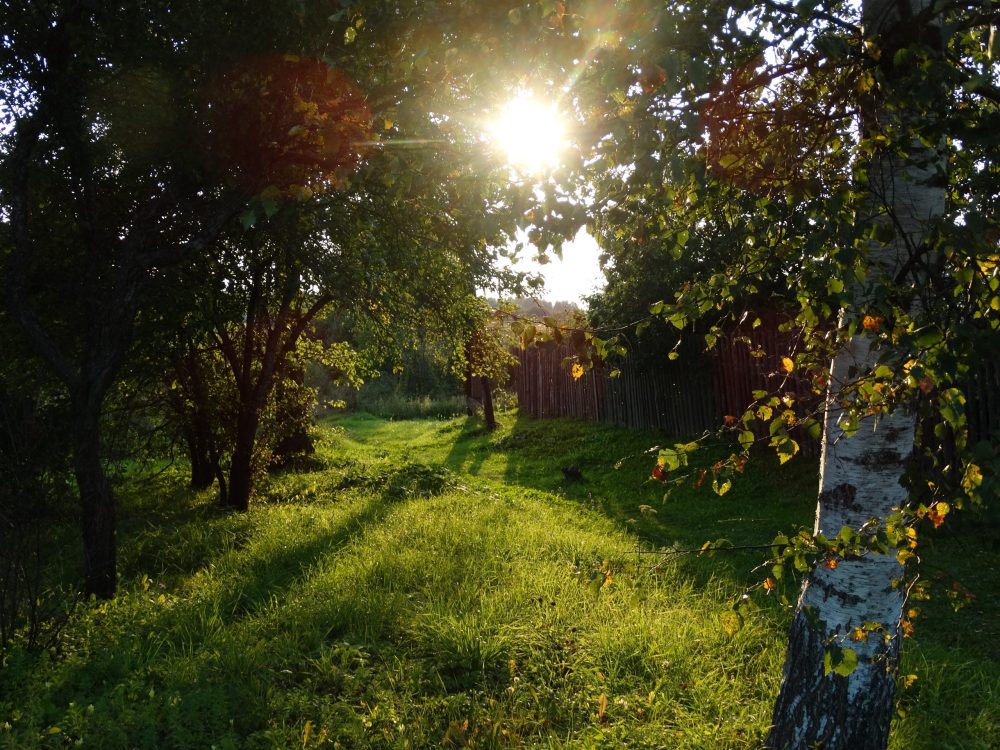 Фото: Кристина Белякова/РИА Верхневолжье