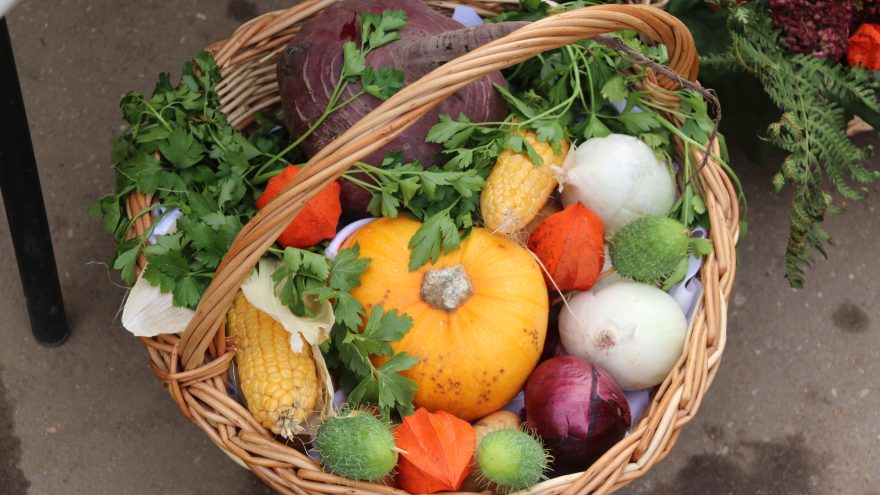 овощи, корзина, тыква, кукуруза