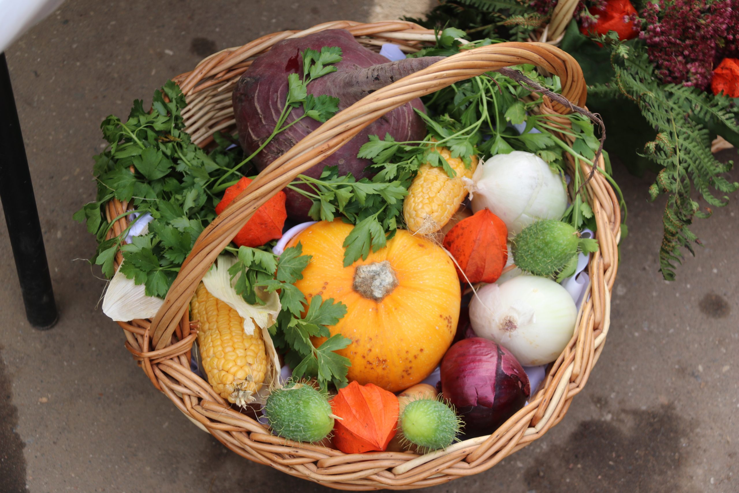 Фото: Белякова Кристина/РИА Верхневолжье