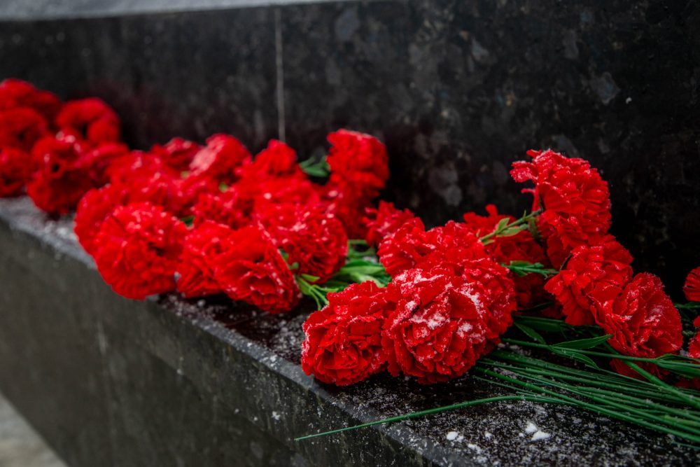 Фото: Кристина Белякова/РИА Верхневолжье