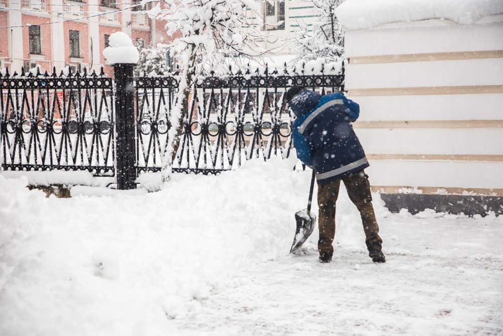Фото: Кристина Белякова/РИА Верхневолжье