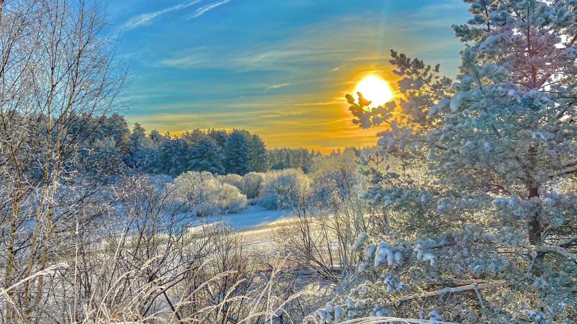 Максатиха (1)