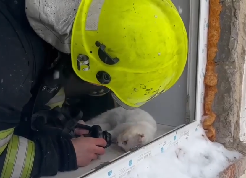 Фото: ГУ МЧС России по Тверской области