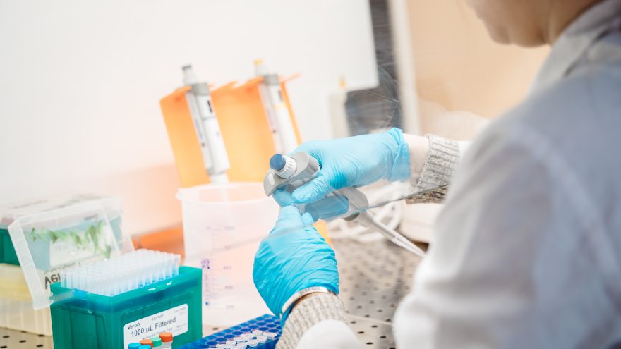 Центр лубяных культур, лаборатория