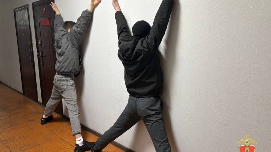 Мошенники, задержание, полиция