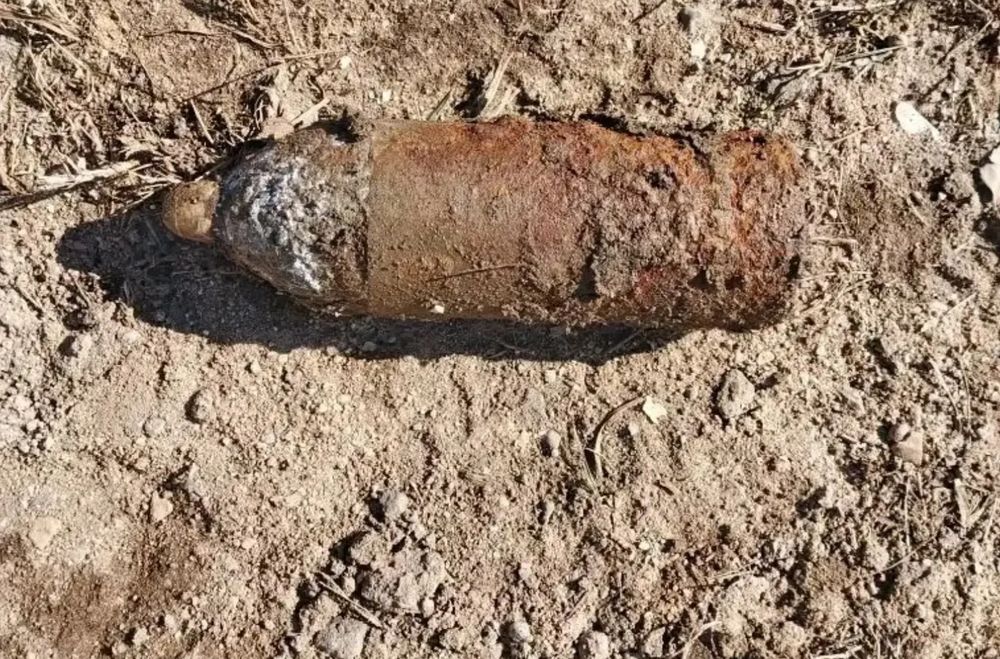 Фото: МЧС России по Тверской области