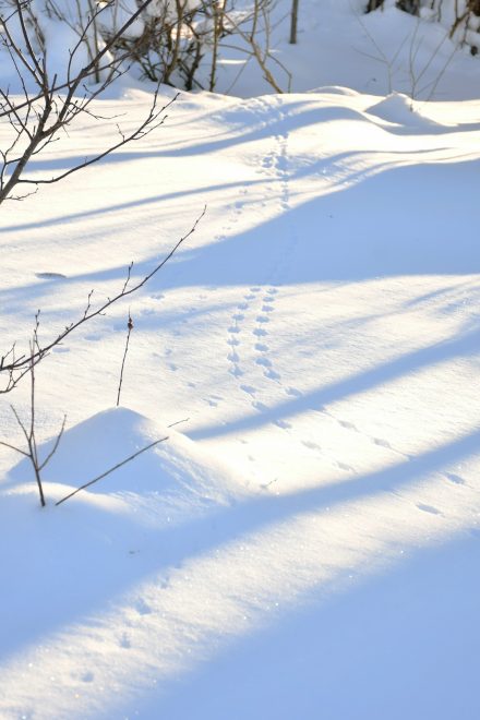 Фото: Мария Сидоренко