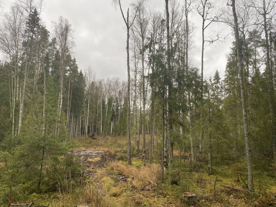 Фото: пресс-служба УФСБ РФ по Тверской области