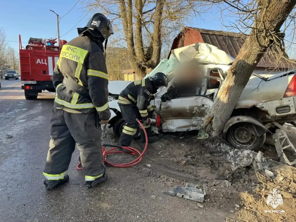 Фото: МЧС России по Тверской области