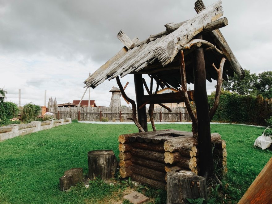 Фото: Кристина Белякова/РИА Верхневолжье