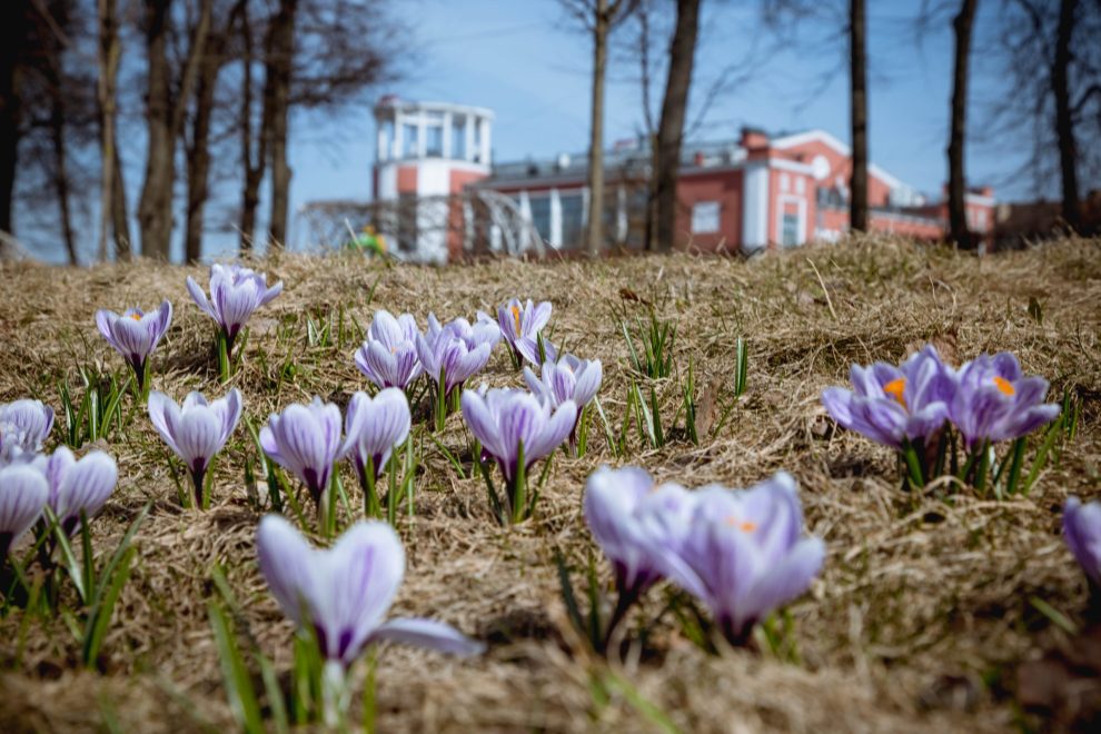 Фото: Кристина Белякова/РИА Верхневолжье