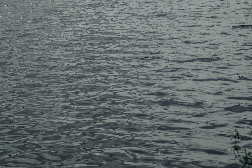 Фото: Кристина Белякова/РИА Верхневолжье