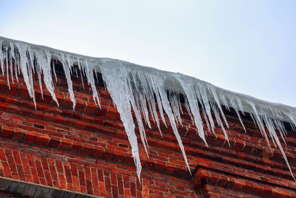 Фото: Кристина Белякова/РИА Верхневолжье
