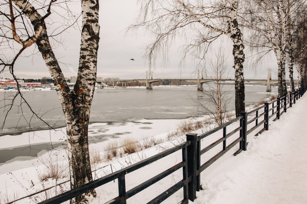 Фото: Кристина Белякова/РИА Верхневолжье
