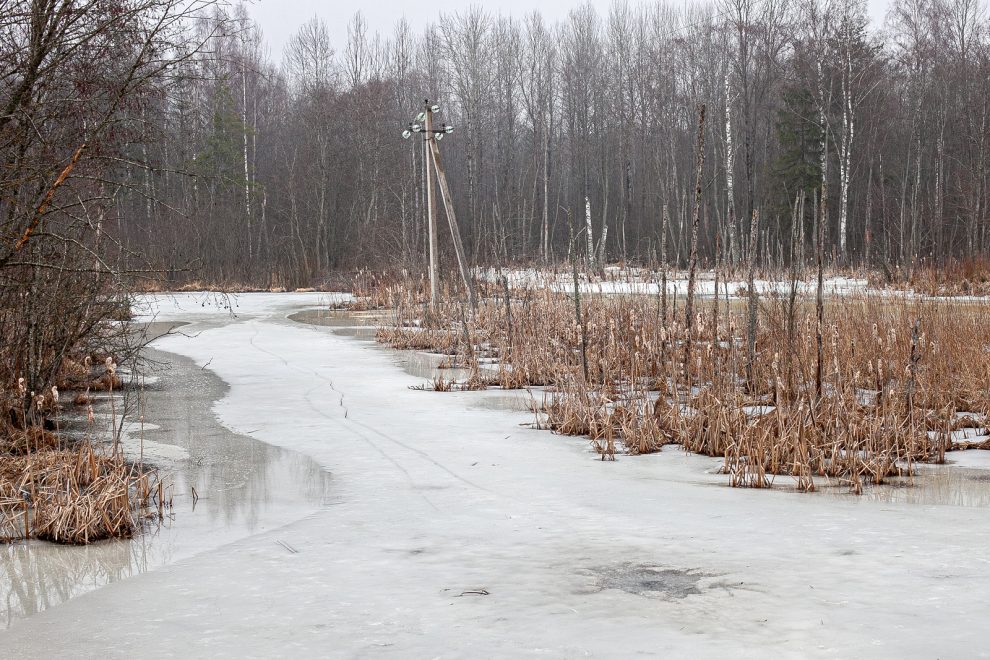 Фото: Журавлева Диана \ ПАО «Россети Центр»