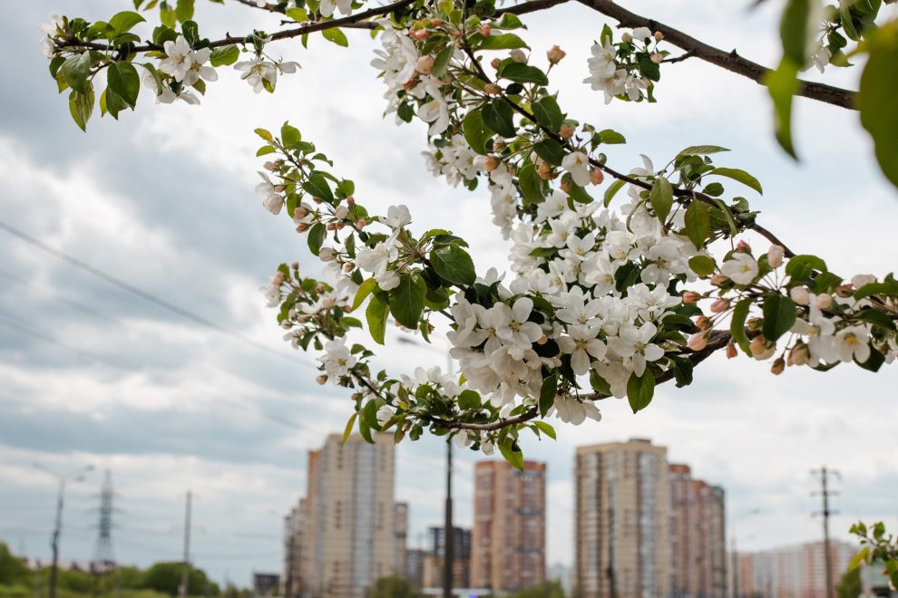 Фото: Карина Пожогина/РИА Верхневолжье