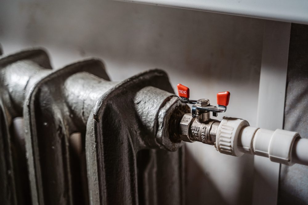 Фото: Леонид Смирнов/РИА Верхневолжье