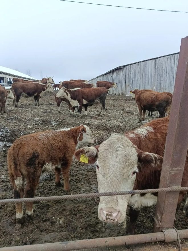 Фото: Александра Климова