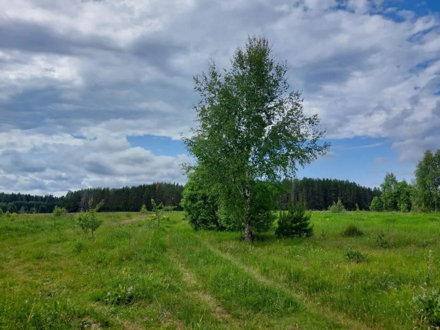 Фото: Елена Яковлева/РИА Верхневолжье