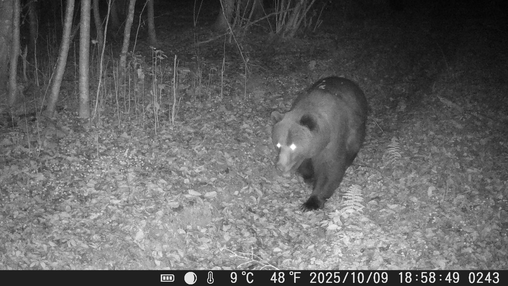 Фото: Дмитрий Иванов