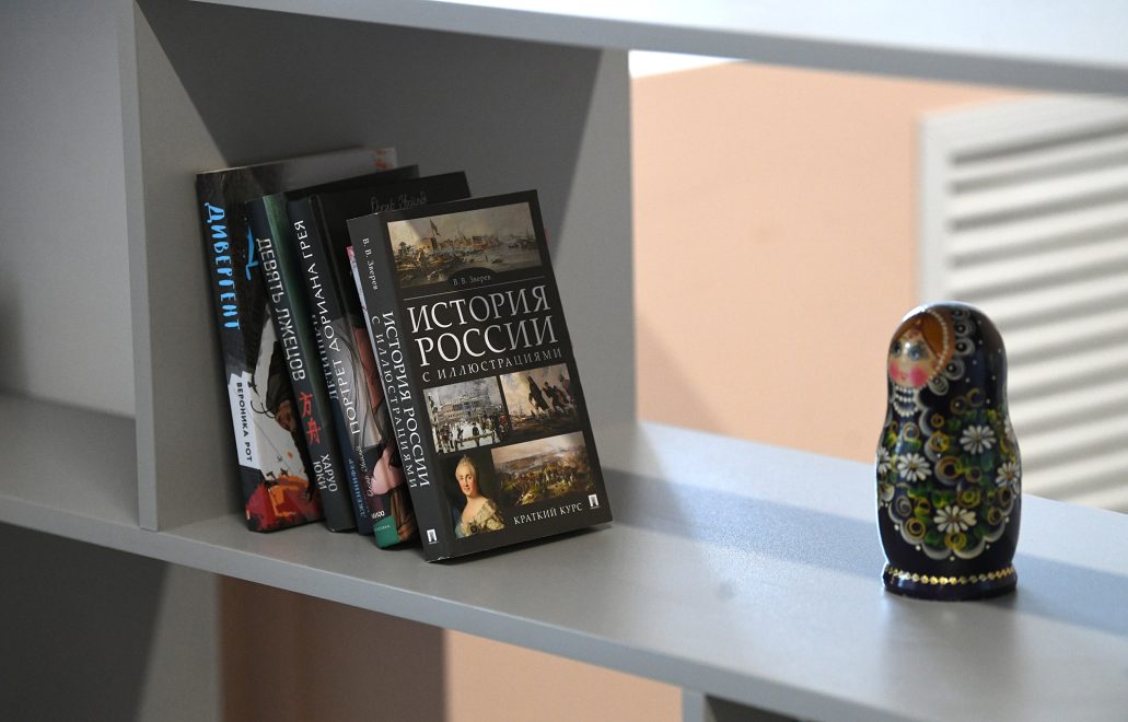 общежитие, матрешка, книжная полка(13)