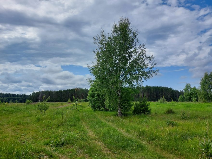 Фото: Елена Яковлева/РИА Верхневолжье