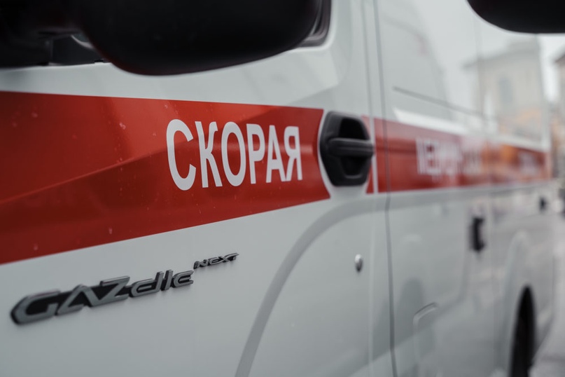 Фото: Леонид Смирнов/РИА Верхневолжье