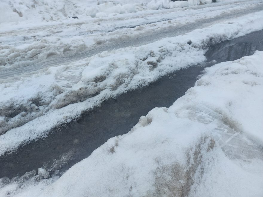 Фото: Елена Яковлева/РИА Верхневолжье