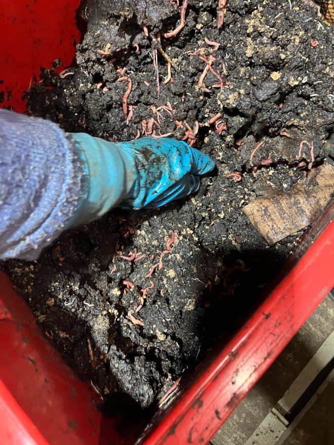 Фото предоставлено Тверским филиалом Российского сельскохозяйственного центра