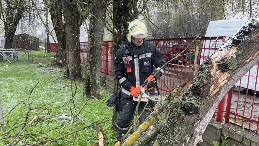 непогода, МЧС