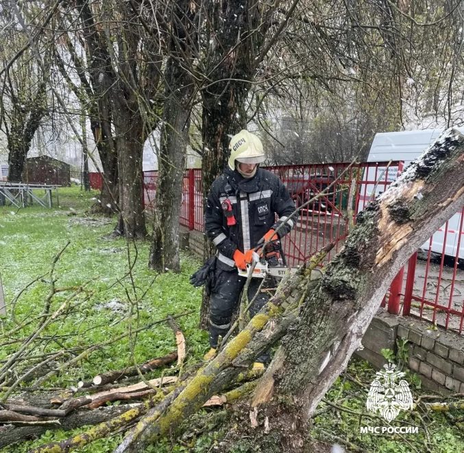 Фото: пресс-служба регионального МЧС