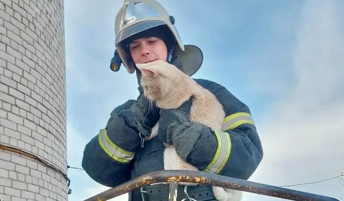 кот на водонапорной башне, рамешки