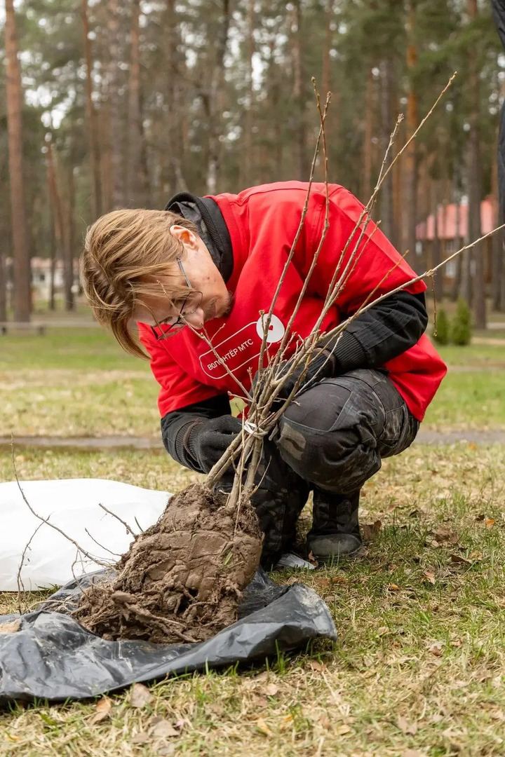 24ed285aefb8ebc7da392fee86aa5e28