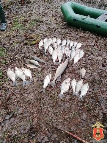 рыба, браконьер