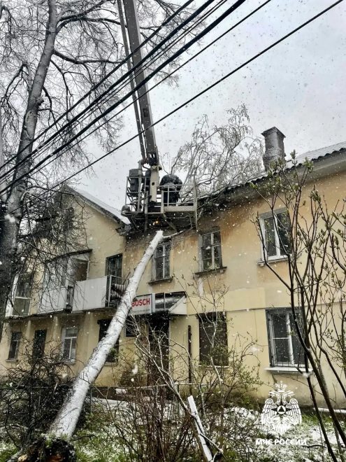 Фото: пресс-служба регионального МЧС