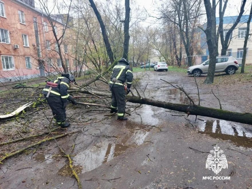 непогода, МЧС