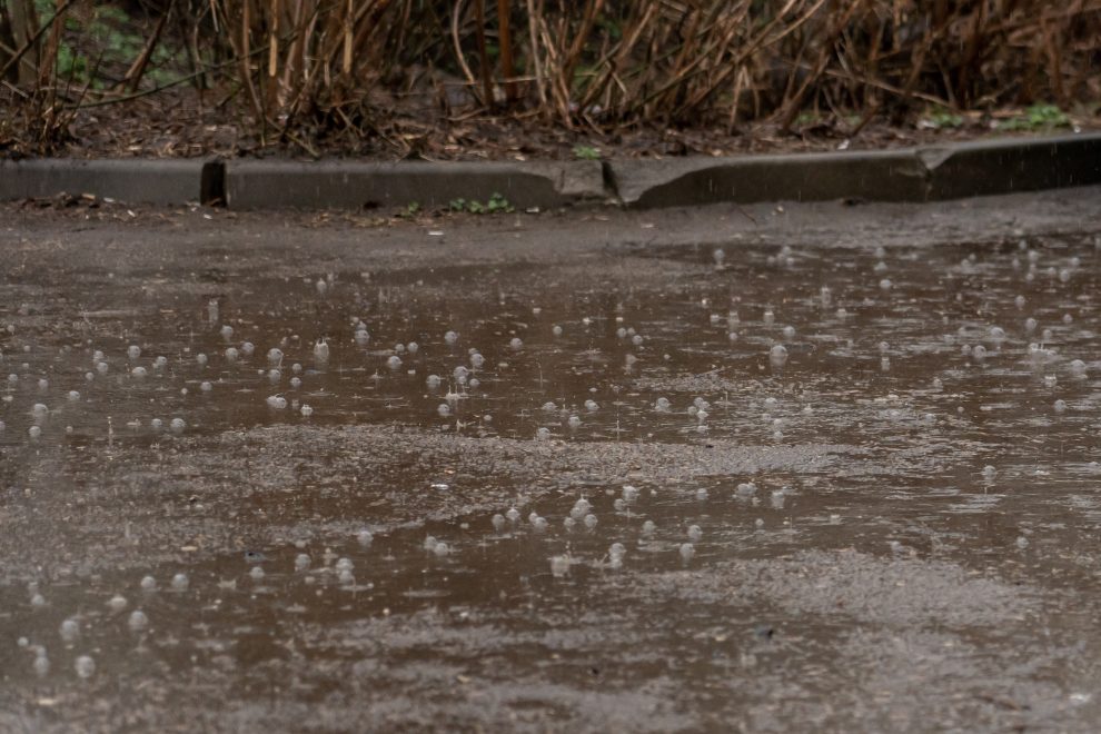 Фото: Андрей Зубов/РИА Верхневолжье