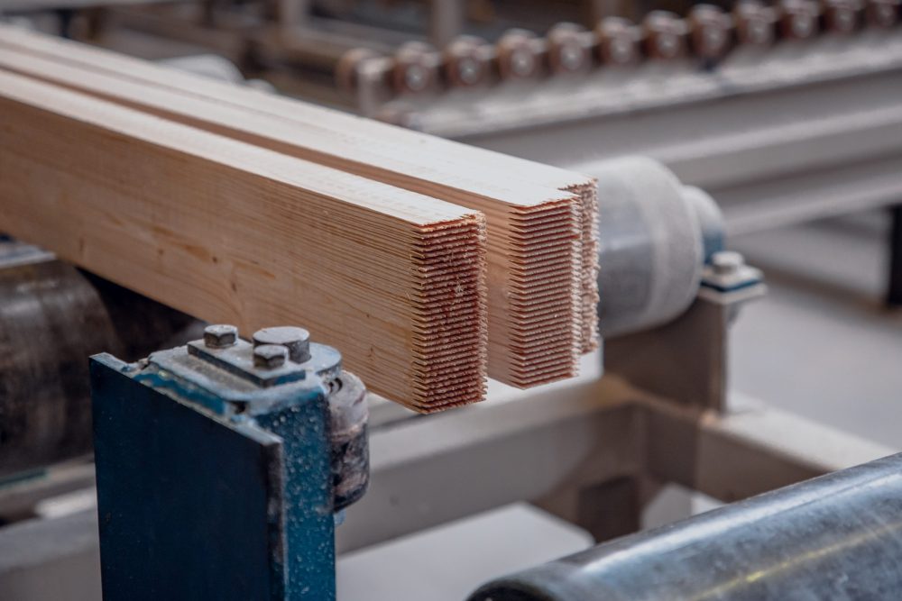 Фото: Кристина Белякова/РИА Верхневолжье