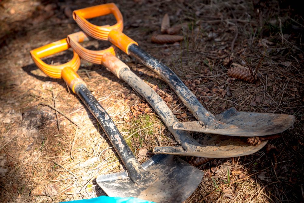 Фото: Кристина Белякова/РИА Верхневолжье