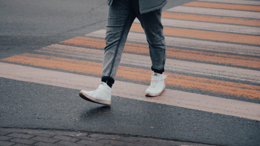 шаг, ноги, зебра