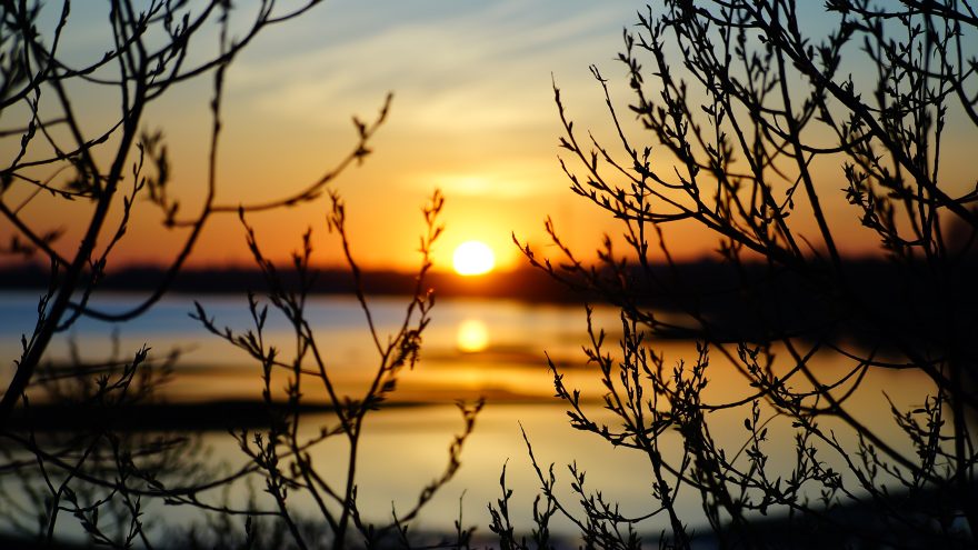 весна, солнце